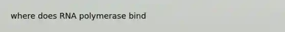 where does RNA polymerase bind