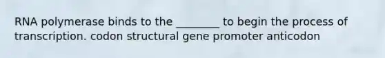 RNA polymerase binds to the ________ to begin the process of transcription. codon structural gene promoter anticodon