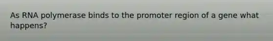 As RNA polymerase binds to the promoter region of a gene what happens?