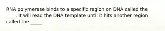 RNA polymerase binds to a specific region on DNA called the ____. It will read the DNA template until it hits another region called the _____