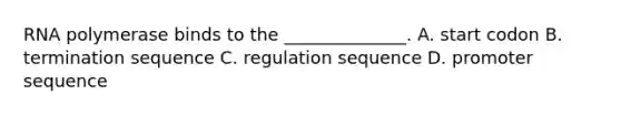 RNA polymerase binds to the ______________. A. start codon B. termination sequence C. regulation sequence D. promoter sequence