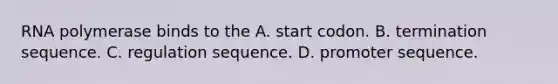 RNA polymerase binds to the A. start codon. B. termination sequence. C. regulation sequence. D. promoter sequence.