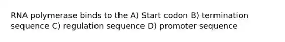 RNA polymerase binds to the A) Start codon B) termination sequence C) regulation sequence D) promoter sequence