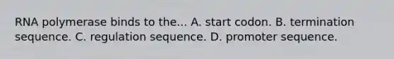 RNA polymerase binds to the... A. start codon. B. termination sequence. C. regulation sequence. D. promoter sequence.