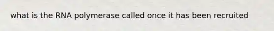 what is the RNA polymerase called once it has been recruited