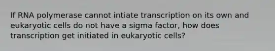 If RNA polymerase cannot intiate transcription on its own and <a href='https://www.questionai.com/knowledge/kb526cpm6R-eukaryotic-cells' class='anchor-knowledge'>eukaryotic cells</a> do not have a sigma factor, how does transcription get initiated in eukaryotic cells?