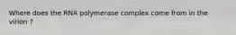 Where does the RNA polymerase complex come from in the virion ?