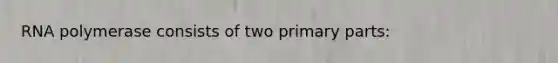 RNA polymerase consists of two primary parts: