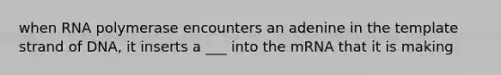 when RNA polymerase encounters an adenine in the template strand of DNA, it inserts a ___ into the mRNA that it is making