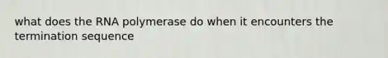 what does the RNA polymerase do when it encounters the termination sequence