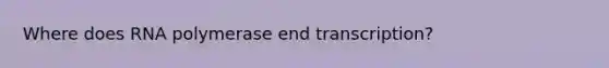 Where does RNA polymerase end transcription?