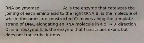 RNA polymerase __________. A: is the enzyme that catalyzes the joining of each amino acid to the right tRNA B: is the molecule of which ribosomes are constructed C: moves along the template strand of DNA, elongating an RNA molecule in a 5′ → 3′ direction D: is a ribozyme E: is the enzyme that transcribes exons but does not transcribe introns