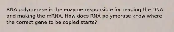 RNA polymerase is the enzyme responsible for reading the DNA and making the mRNA. How does RNA polymerase know where the correct gene to be copied starts?