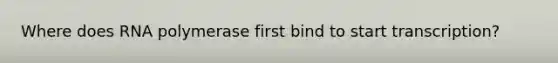 Where does RNA polymerase first bind to start transcription?