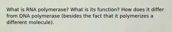 What is RNA polymerase? What is its function? How does it differ from DNA polymerase (besides the fact that it polymerizes a different molecule).