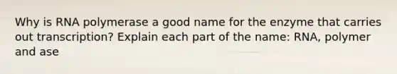 Why is RNA polymerase a good name for the enzyme that carries out transcription? Explain each part of the name: RNA, polymer and ase