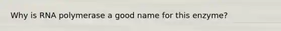 Why is RNA polymerase a good name for this enzyme?