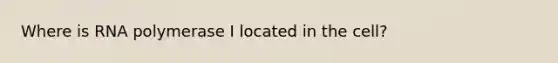 Where is RNA polymerase I located in the cell?