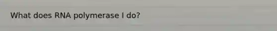 What does RNA polymerase I do?