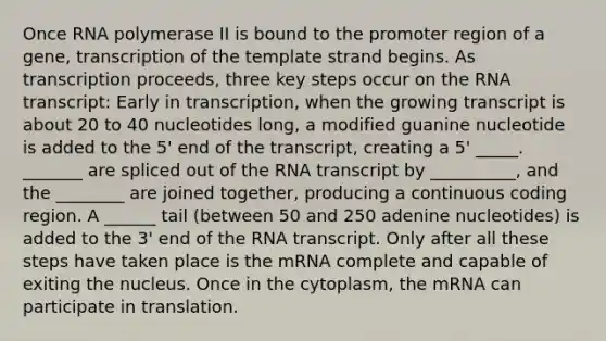 Once RNA polymerase II is bound to the promoter region of a gene, transcription of the template strand begins. As transcription proceeds, three key steps occur on the RNA transcript: Early in transcription, when the growing transcript is about 20 to 40 nucleotides long, a modified guanine nucleotide is added to the 5' end of the transcript, creating a 5' _____. _______ are spliced out of the RNA transcript by __________, and the ________ are joined together, producing a continuous coding region. A ______ tail (between 50 and 250 adenine nucleotides) is added to the 3' end of the RNA transcript. Only after all these steps have taken place is the mRNA complete and capable of exiting the nucleus. Once in the cytoplasm, the mRNA can participate in translation.