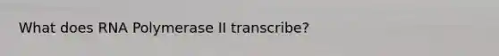 What does RNA Polymerase II transcribe?