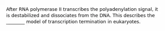 After RNA polymerase II transcribes the polyadenylation signal, it is destabilized and dissociates from the DNA. This describes the ________ model of transcription termination in eukaryotes.