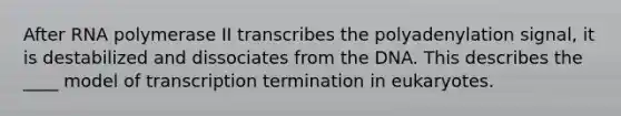 After RNA polymerase II transcribes the polyadenylation signal, it is destabilized and dissociates from the DNA. This describes the ____ model of transcription termination in eukaryotes.