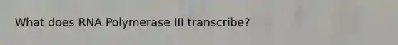 What does RNA Polymerase III transcribe?