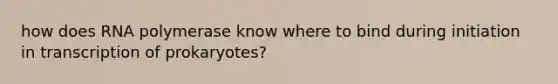 how does RNA polymerase know where to bind during initiation in transcription of prokaryotes?