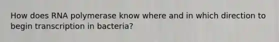 How does RNA polymerase know where and in which direction to begin transcription in bacteria?