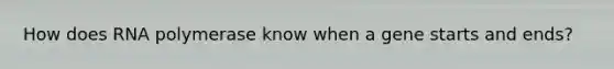 How does RNA polymerase know when a gene starts and ends?