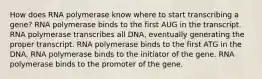 How does RNA polymerase know where to start transcribing a gene? RNA polymerase binds to the first AUG in the transcript. RNA polymerase transcribes all DNA, eventually generating the proper transcript. RNA polymerase binds to the first ATG in the DNA. RNA polymerase binds to the initiator of the gene. RNA polymerase binds to the promoter of the gene.