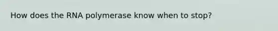 How does the RNA polymerase know when to stop?
