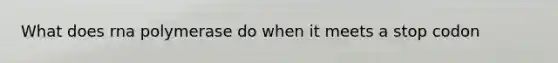 What does rna polymerase do when it meets a stop codon