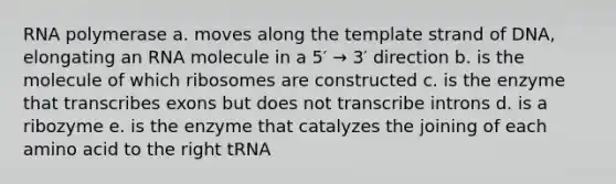 RNA polymerase a. moves along the template strand of DNA, elongating an RNA molecule in a 5′ → 3′ direction b. is the molecule of which ribosomes are constructed c. is the enzyme that transcribes exons but does not transcribe introns d. is a ribozyme e. is the enzyme that catalyzes the joining of each amino acid to the right tRNA