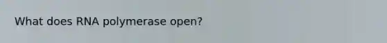 What does RNA polymerase open?