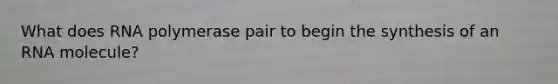 What does RNA polymerase pair to begin the synthesis of an RNA molecule?