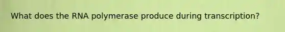What does the RNA polymerase produce during transcription?