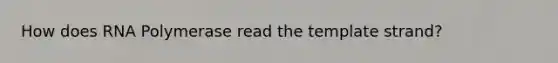 How does RNA Polymerase read the template strand?