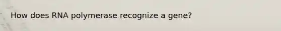 How does RNA polymerase recognize a gene?
