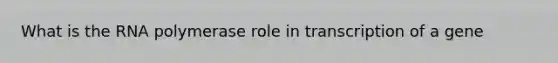 What is the RNA polymerase role in transcription of a gene