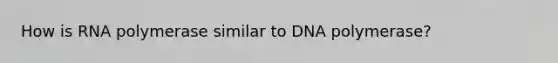 How is RNA polymerase similar to DNA polymerase?