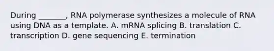 During _______, RNA polymerase synthesizes a molecule of RNA using DNA as a template. A. mRNA splicing B. translation C. transcription D. gene sequencing E. termination