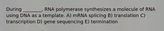 During ________, RNA polymerase synthesizes a molecule of RNA using DNA as a template. A) mRNA splicing B) translation C) transcription D) gene sequencing E) termination