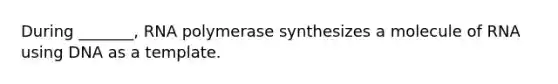 During _______, RNA polymerase synthesizes a molecule of RNA using DNA as a template.