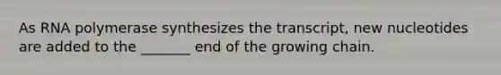 As RNA polymerase synthesizes the transcript, new nucleotides are added to the _______ end of the growing chain.