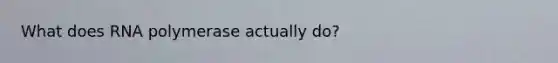 What does RNA polymerase actually do?