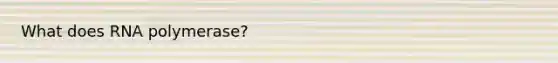 What does RNA polymerase?