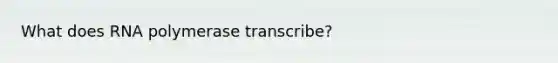 What does RNA polymerase transcribe?