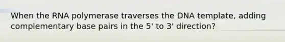 When the RNA polymerase traverses the DNA template, adding complementary base pairs in the 5' to 3' direction?